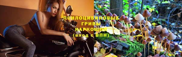 spice Медвежьегорск