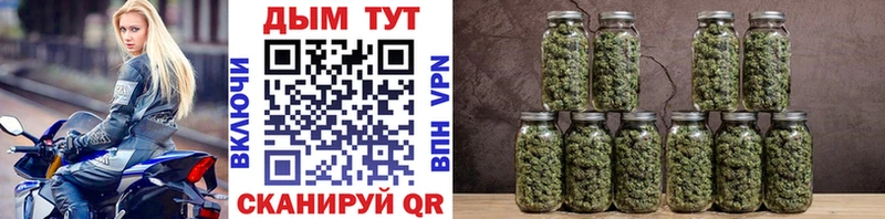 Шишки марихуана VHQ Липки